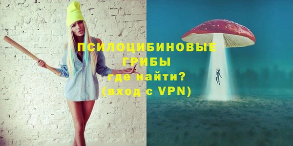 apvp Армянск