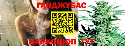 сатива Гусиноозёрск