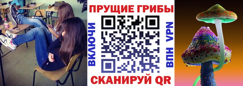 купить наркотики сайты  МЕГА сайт  Галлюциногенные грибы мухоморы  Кунгур 