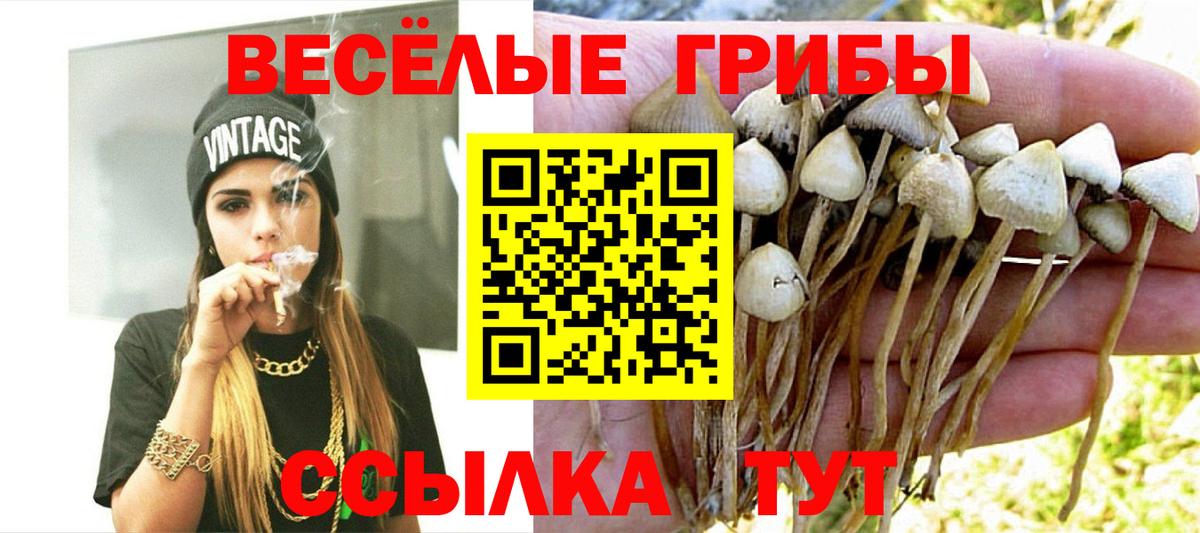 купить наркотик  Псилоцибиновые грибы мухоморы  Псилоцибиновые грибы мицелий  Вход с VPN  Кунгур 